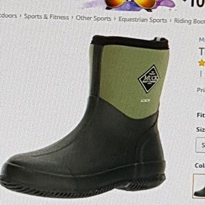 Meet your Posher, Ginger